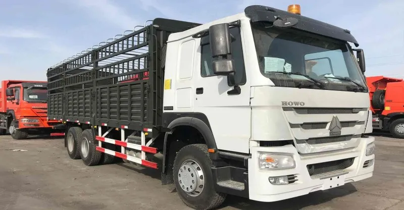 Caminhão de carga 6x4 Howo-7