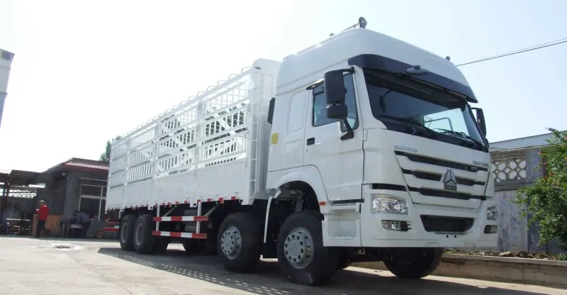 Caminhão de carga 6x4 Howo-7