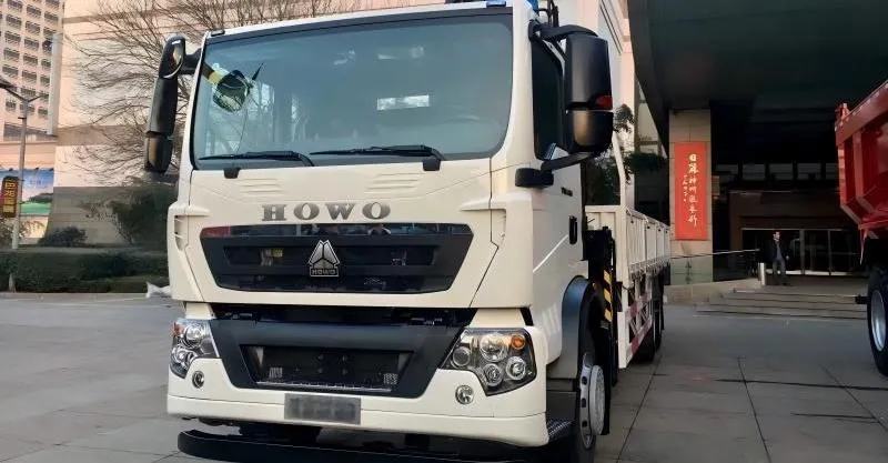 Caminhão de carga 6x4 Howo-tx