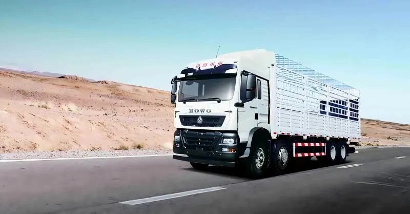 Caminhão de carga 8x4 Howo-tx